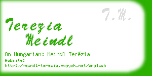 terezia meindl business card